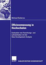 Effizienzmessung in Hochschulen