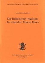 Die Heidelberger Fragmente Des Magischen Papyrus Harris