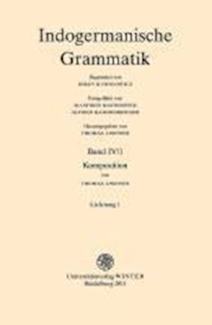 Indogermanische Grammatik / Band IV