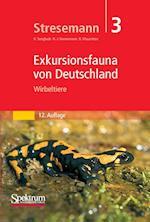 Stresemann - Exkursionsfauna von Deutschland. Band 3: Wirbeltiere