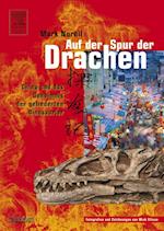 Auf der Spur der Drachen