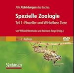 Bild-DVD, Spezielle Zoologie, Teil 1