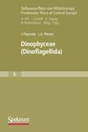 Dinophyceae