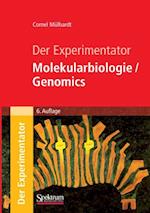 Der Experimentator: Molekularbiologie / Genomics