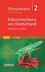 Stresemann - Exkursionsfauna von Deutschland, Band 2: Wirbellose: Insekten