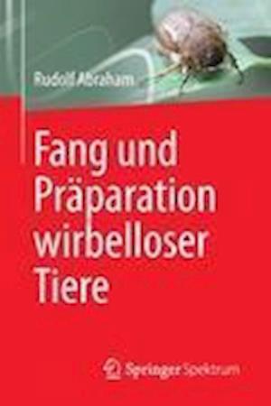 Fang Und Präparation Wirbelloser Tiere