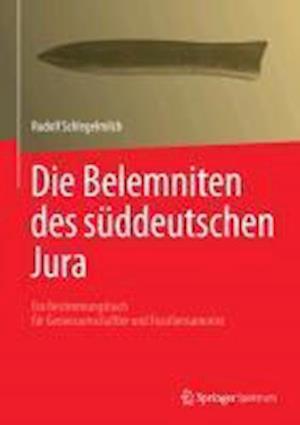 Die Belemniten des süddeutschen Jura