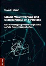 Schuld, Verantwortung Und Determinismus Im Strafrecht