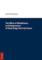 The Effect of Mindfulness on Entrepreneurs of Early-Stage Start-Up Teams