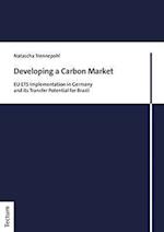 Developing a Carbon Market