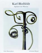 Karl Blossfeldt: Alphabet of Plants