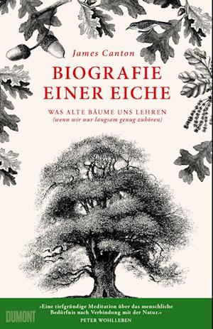 Biografie einer Eiche