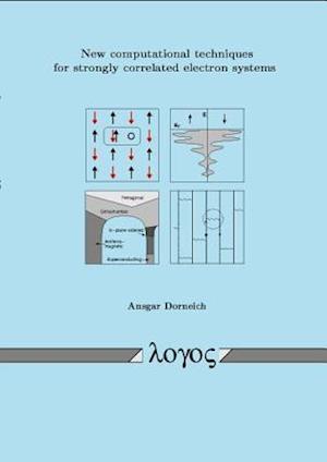 New Computational Techniques for Strongly Correlated Electron Systems