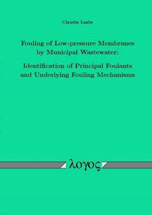 Fouling of Low-Pressure Membranes by Municipal Wastewater