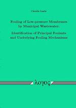 Fouling of Low-Pressure Membranes by Municipal Wastewater