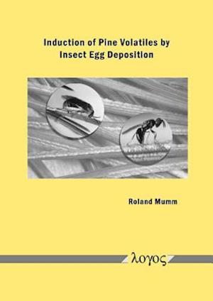 Induction of Pine Volatiles by Insect Egg Deposition