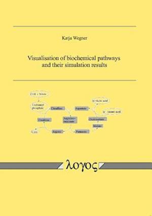 Visualisation of Biochemical Pathways and Their Simulation Results