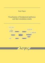 Visualisation of Biochemical Pathways and Their Simulation Results