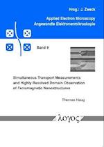 Simultaneous Transport Measurements and Highly Resolved Domain Observation of Ferromagnetic Nanostructures