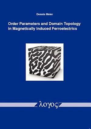 Order Parameters and Domain Topology in Magnetically Induced Ferroelectrics