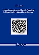 Order Parameters and Domain Topology in Magnetically Induced Ferroelectrics