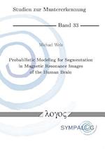 Probabilistic Modeling for Segmentation in Magnetic Resonance Images of the Human Brain