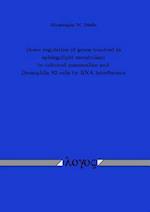 Down Regulation of Genes Involved in Sphingolipid Metabolism in Cultured Mammalian and Drosophila S2 Cells by RNA Interference