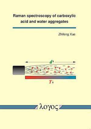 Raman Spectroscopy of Carboxylic Acid and Water Aggregates