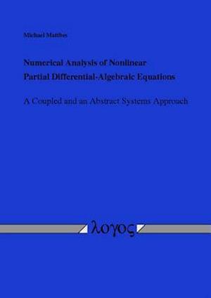 Numerical Analysis of Nonlinear Partial Differential-Algebraic Equations