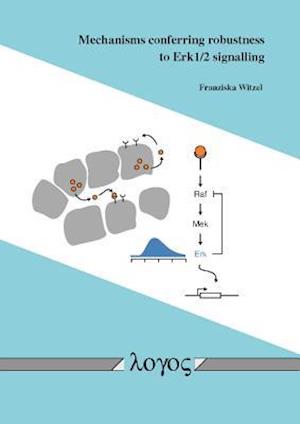Mechanisms Conferring Robustness to Erk1/2 Signalling