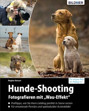 Hunde-Shooting - Fotografieren mit "Wau-Effekt"