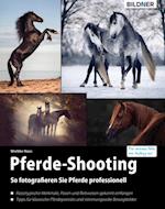 Pferde-Shooting