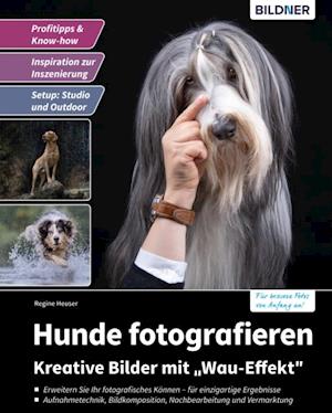 Hunde fotografieren - Kreative Bilder mit "Wau-Effekt"