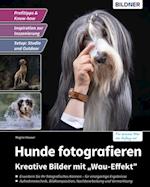 Hunde fotografieren - Kreative Bilder mit "Wau-Effekt"