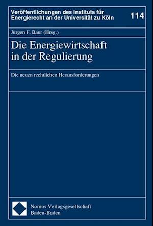 Die Energiewirtschaft in Der Regulierung