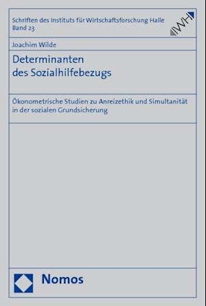 Determinanten Des Sozialhilfebezugs