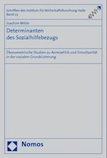 Determinanten Des Sozialhilfebezugs