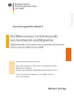 Der Mikrozensus Im Schnittpunkt Von Geschlecht Und Migration