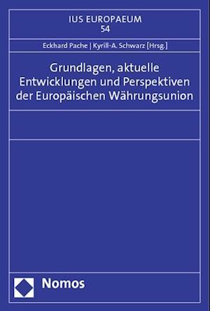 Grundlagen, Aktuelle Entwicklungen Und Perspektiven Der Europaischen Wahrungsunion