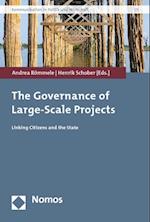 The Governance of Large-Scale Projects