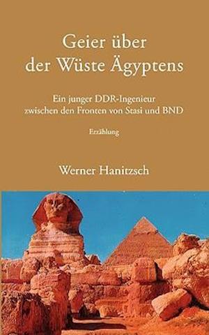 Geier über der Wüste Ägyptens