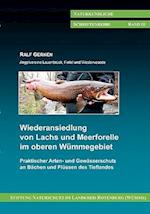 Wiederansiedlung von Lachs und Meerforelle im oberen Wümmegebiet