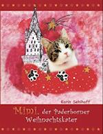 Mimi, der Paderborner Weihnachtskater