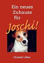 Ein Neues Zuhause Fr Joschi!