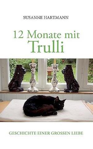 12 Monate mit Trulli