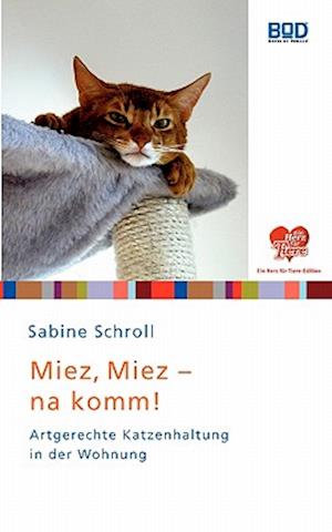 Miez, miez - na komm!