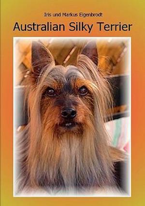 Australian Silky Terrier