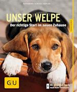 Unser Welpe