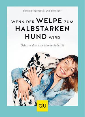 Wenn der Welpe zum halbstarken Hund wird