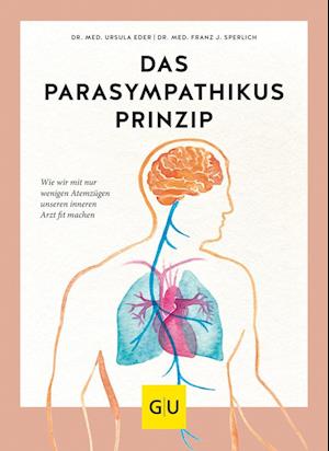 Das Parasympathikus-Prinzip